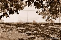 DSC_2679.jpg
