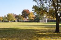 DSC_2682.jpg