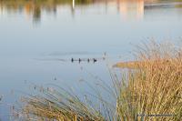 DSC_2141.jpg